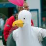 ive-been-spotted_44359678_o
