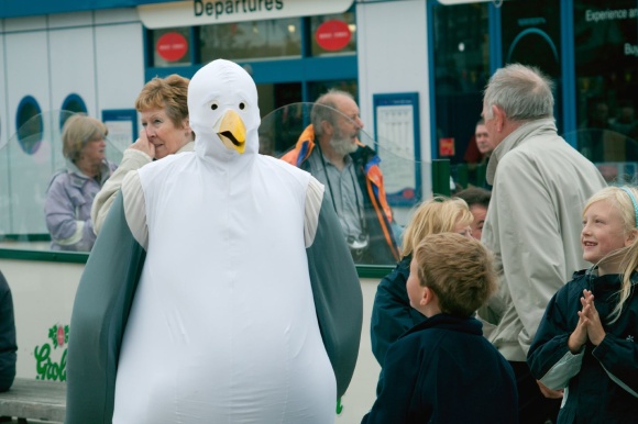 oy-bird_44360875_o