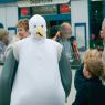 oy-bird_44360875_o