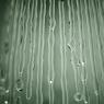water-streams_5681324140_o