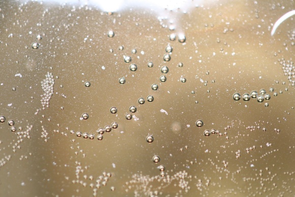 champagne-bubbles_72897790_o