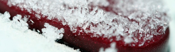 red-and-white_78489164_o
