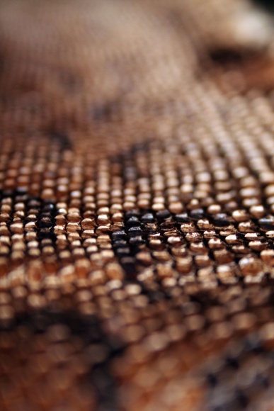 python-snakeskin_40142143_o