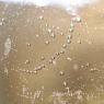 champagne-bubbles_72897790_o