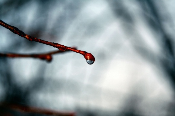 water-droplet_73286573_o
