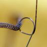 what-is-it--lightbulb-element--solved_76590322_o