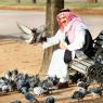one-with-the-pigeons_73309590_o