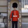 guarding-the-queen_249111496_o