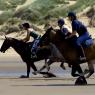 galloping-horses_196336839_o