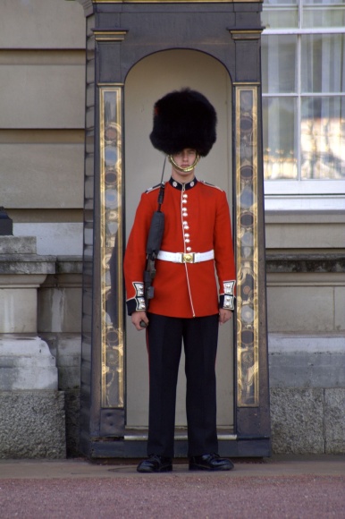 guarding-the-queen_249111496_o
