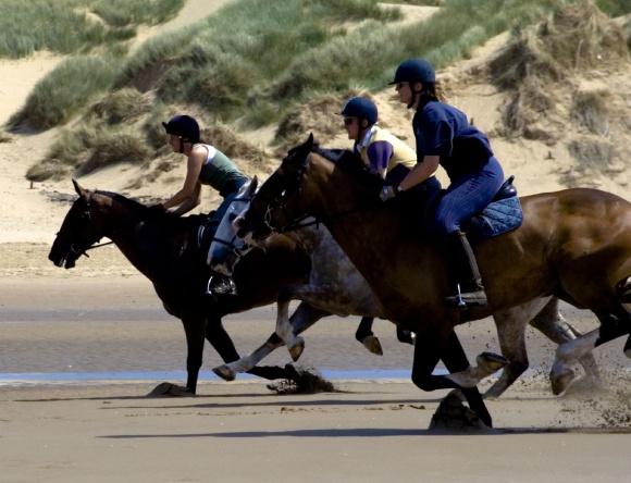 galloping-horses_196336839_o
