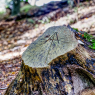 follow-the-arrow_51602740413_o